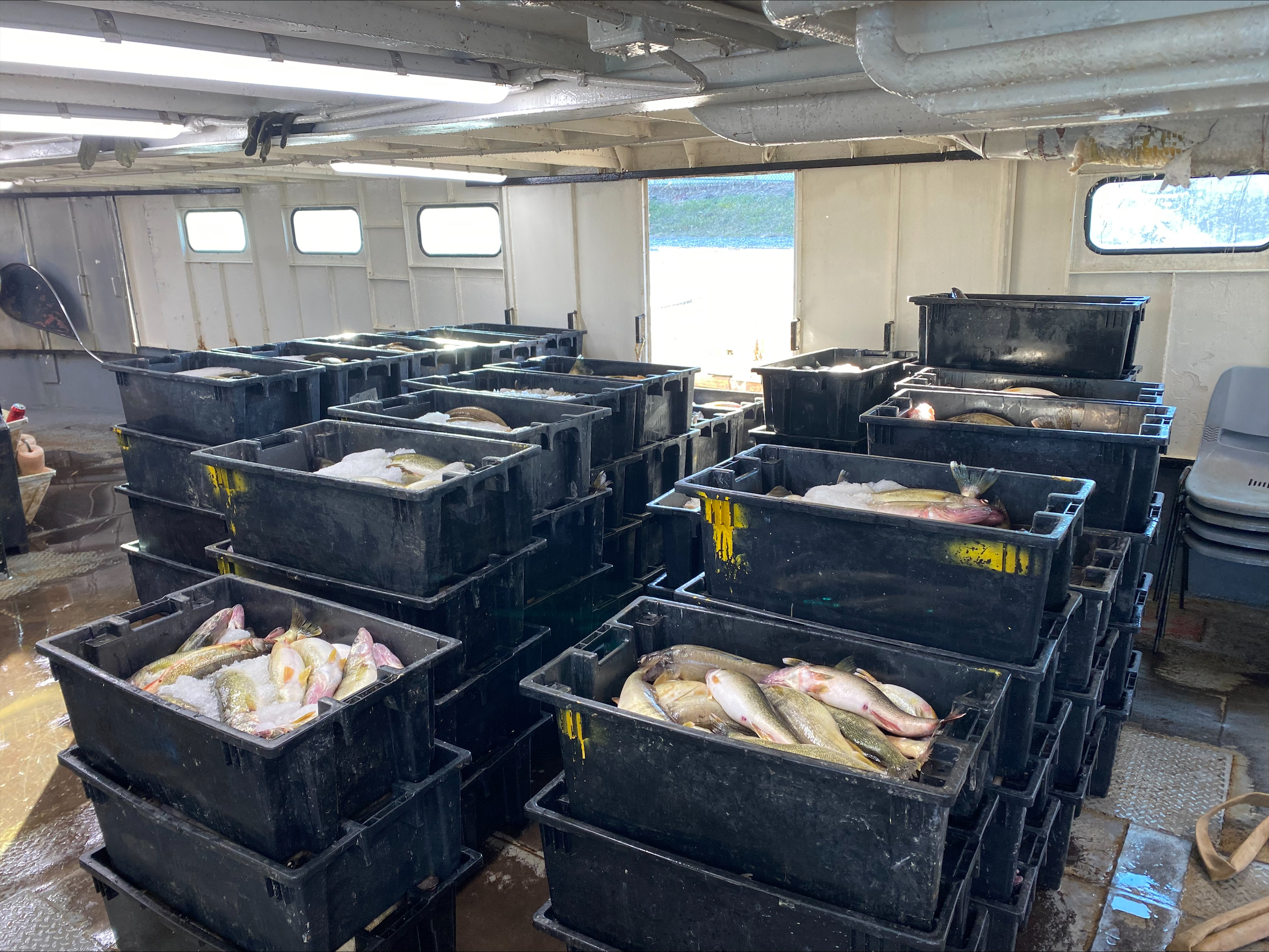 Plastic tubs filled with fish and ice are stacked inside a boat